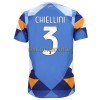 Original Fußballtrikot Juventus Chiellini 3 4.trikot 2022-23 Für Herren